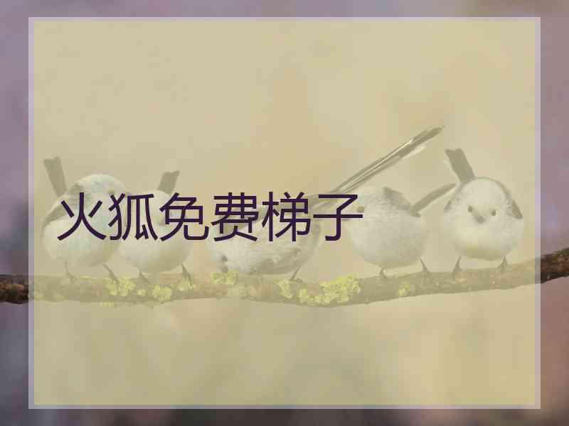 火狐免费梯子
