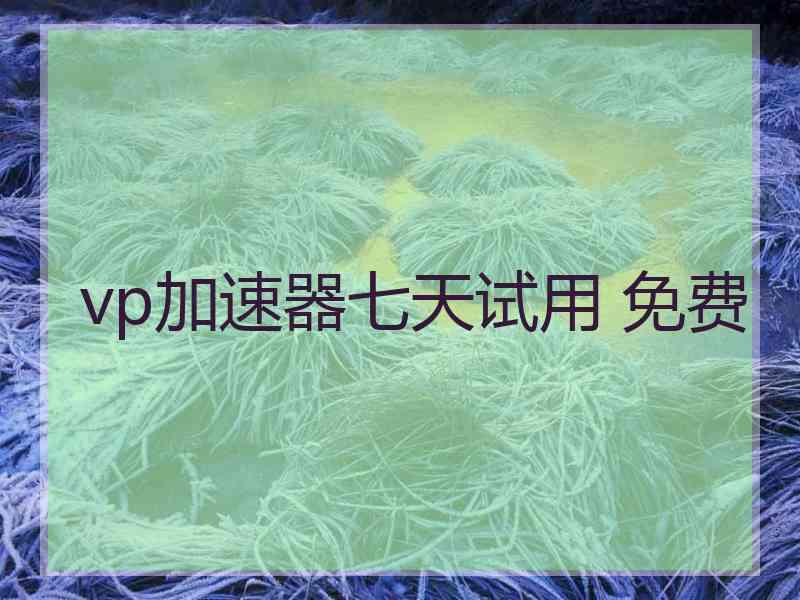 vp加速器七天试用 免费