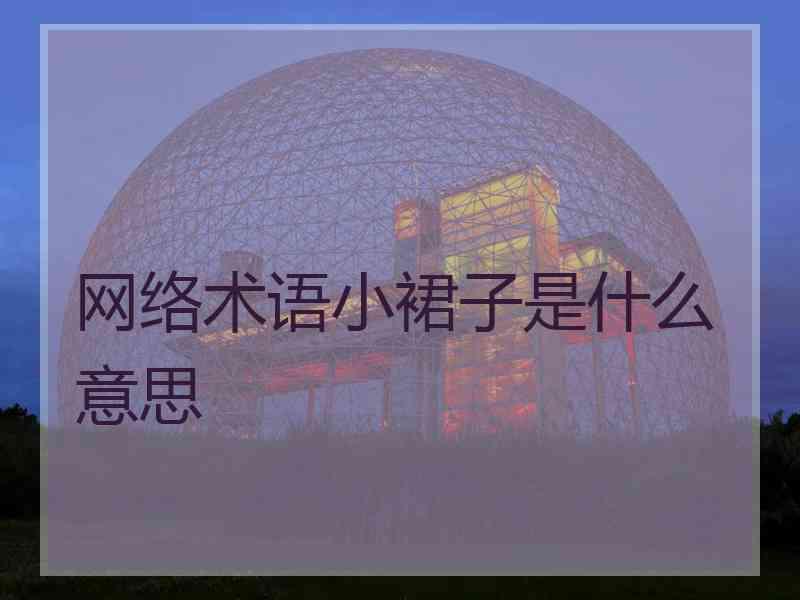 网络术语小裙子是什么意思