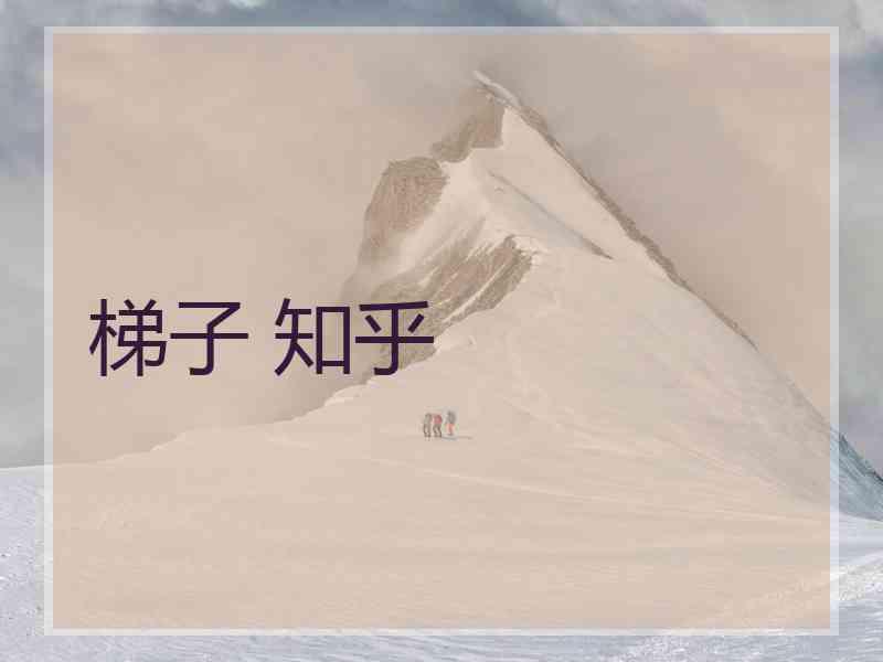 梯子 知乎