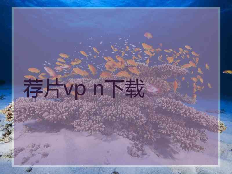 荐片vp n下载