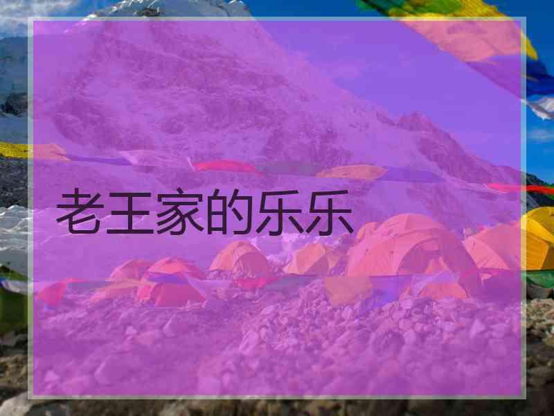 老王家的乐乐