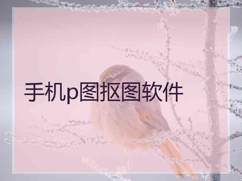 手机p图抠图软件