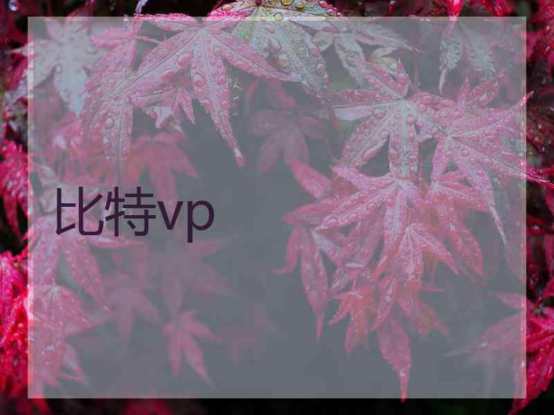 比特vp