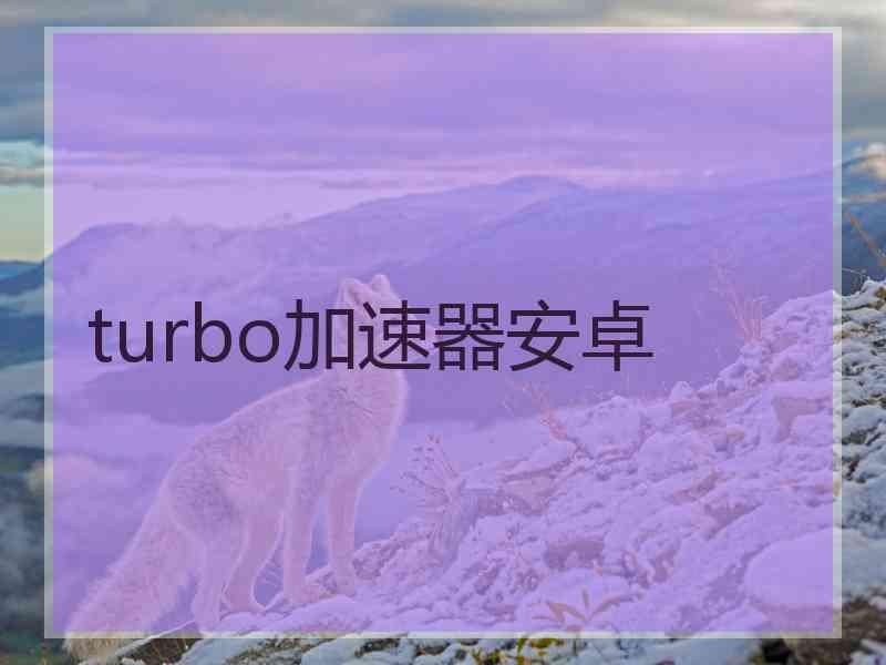 turbo加速器安卓