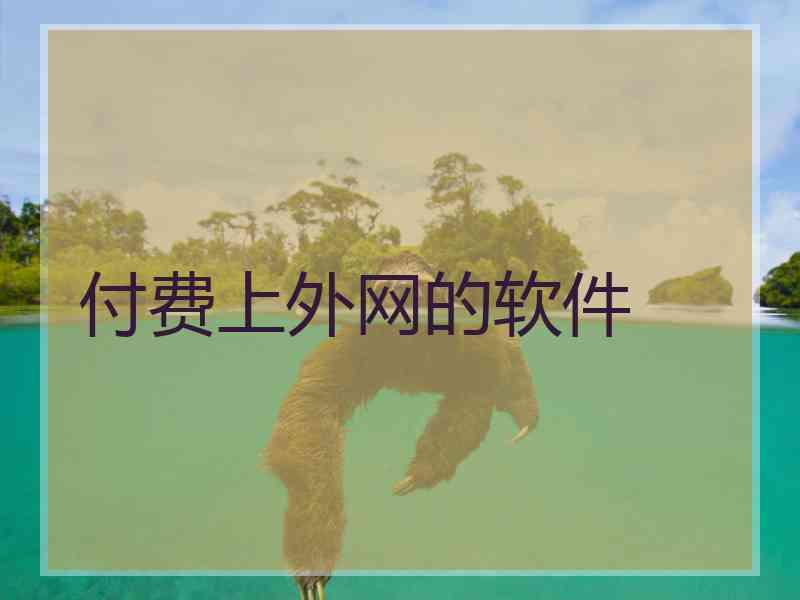 付费上外网的软件