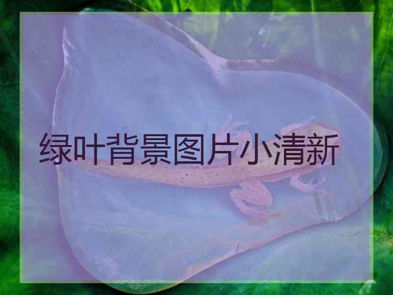 绿叶背景图片小清新