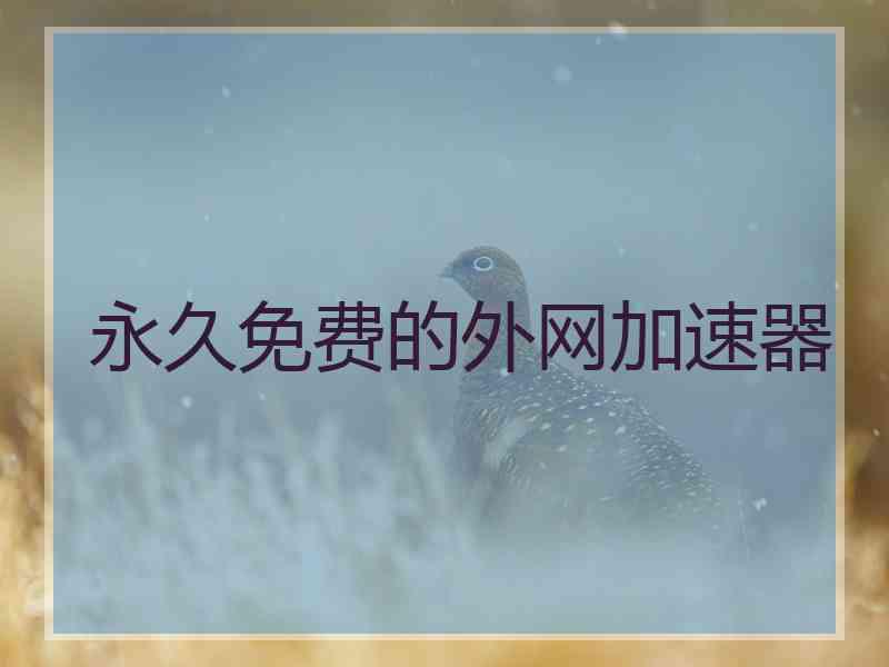 永久免费的外网加速器