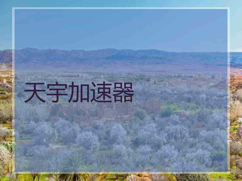天宇加速器