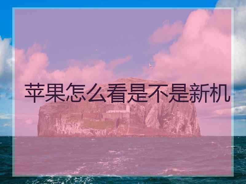 苹果怎么看是不是新机
