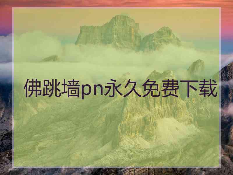 佛跳墙pn永久免费下载