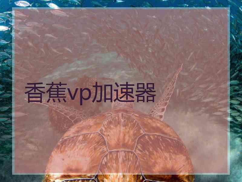 香蕉vp加速器