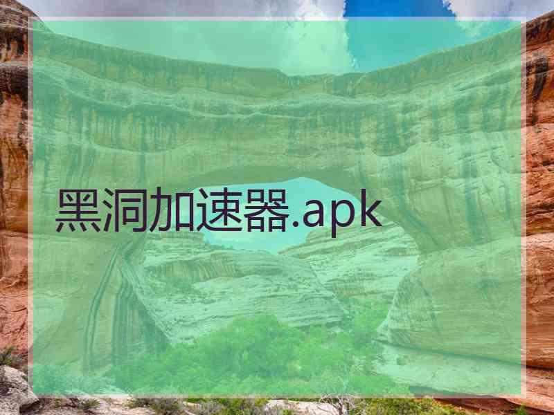 黑洞加速器.apk