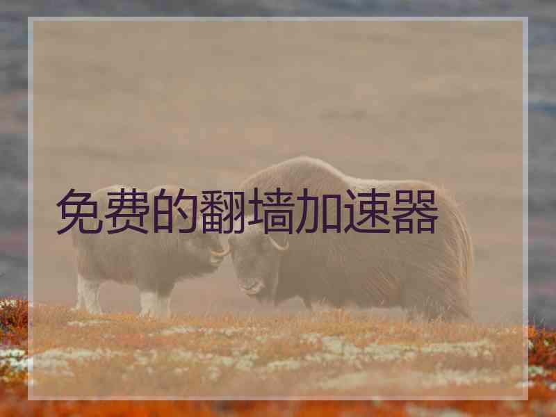 免费的翻墙加速器