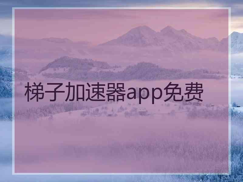 梯子加速器app免费