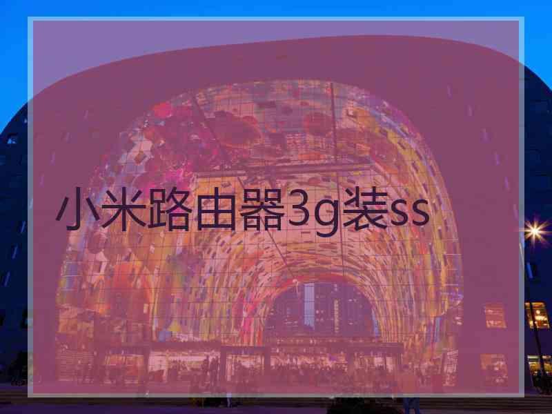 小米路由器3g装ss