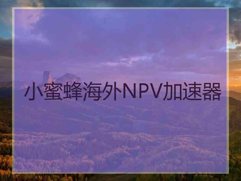 小蜜蜂海外NPV加速器