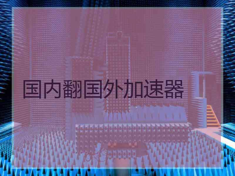 国内翻国外加速器