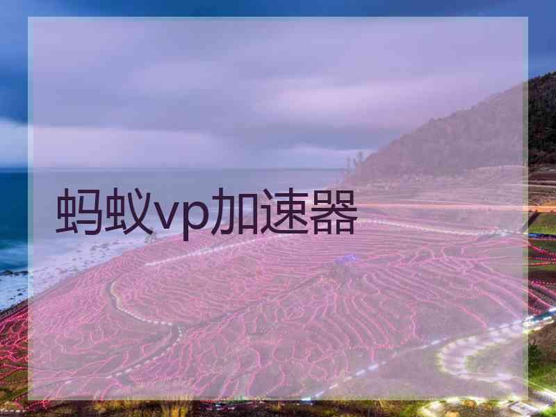 蚂蚁vp加速器