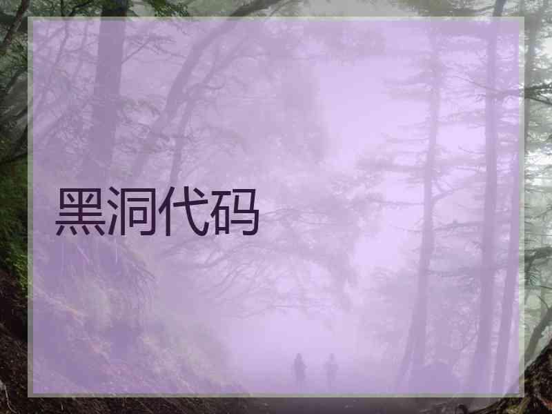 黑洞代码