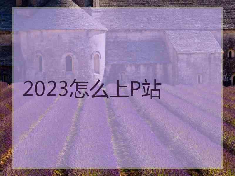 2023怎么上P站
