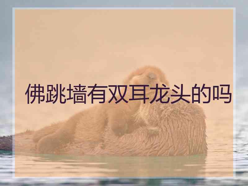 佛跳墙有双耳龙头的吗
