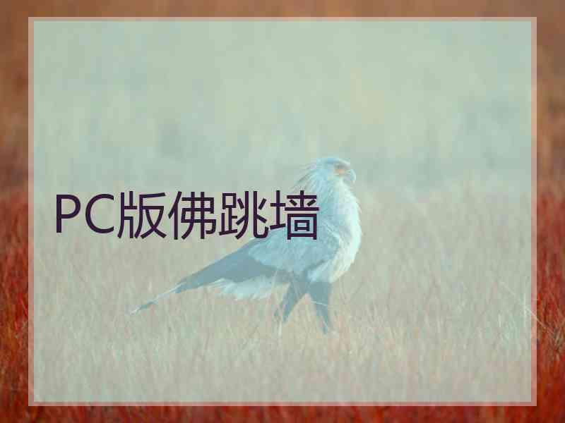 PC版佛跳墙