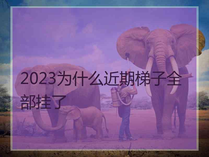 2023为什么近期梯子全部挂了