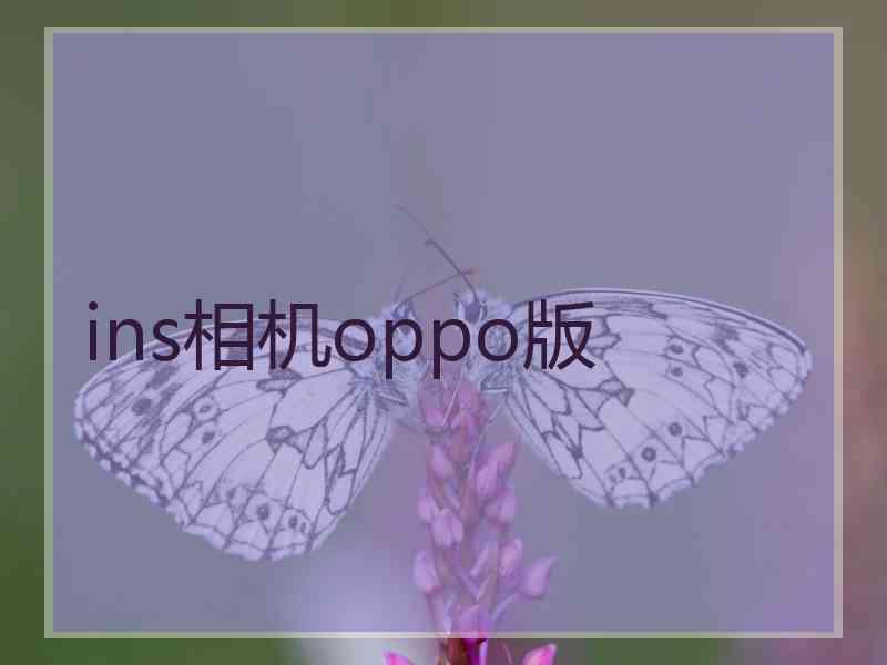 ins相机oppo版