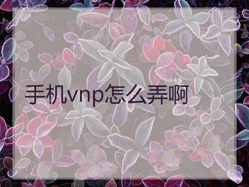 手机vnp怎么弄啊