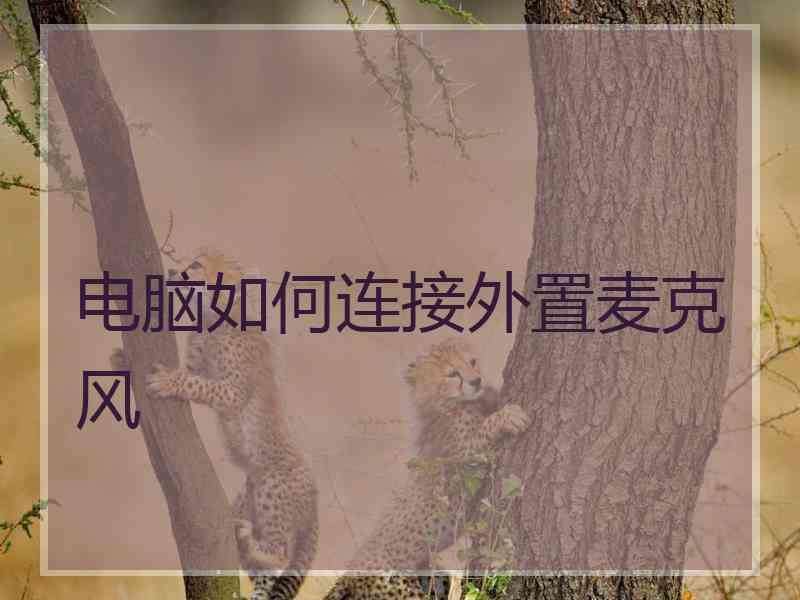 电脑如何连接外置麦克风