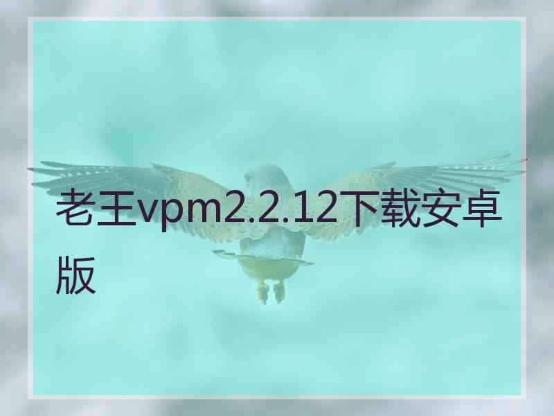老王vpm2.2.12下载安卓版
