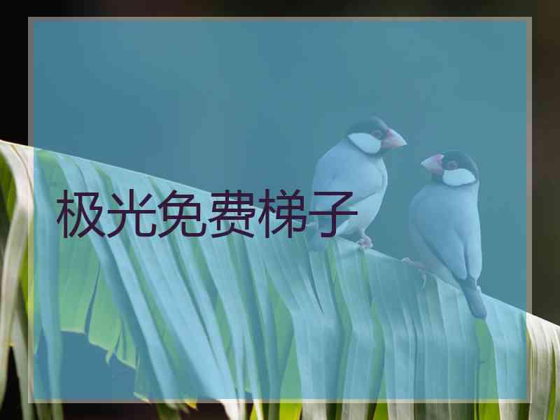 极光免费梯子