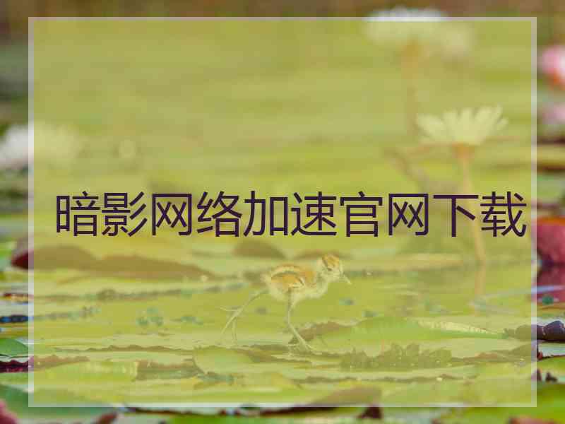 暗影网络加速官网下载