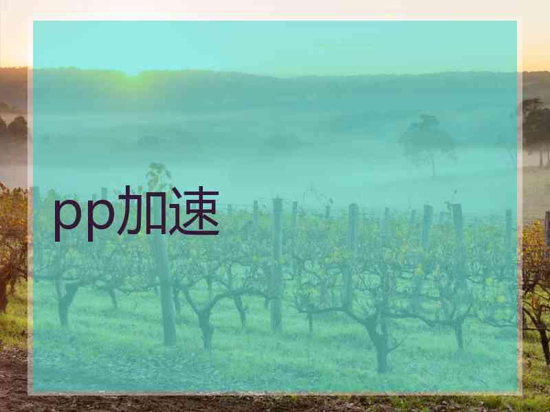 pp加速