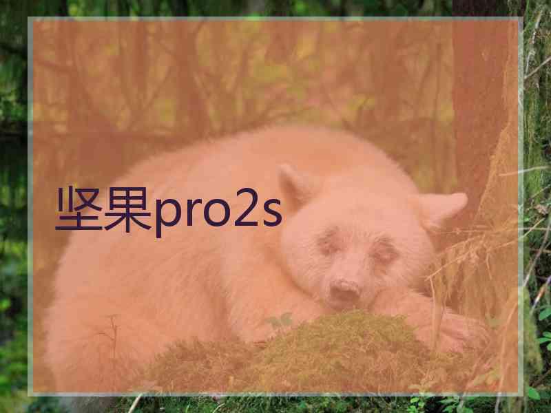 坚果pro2s