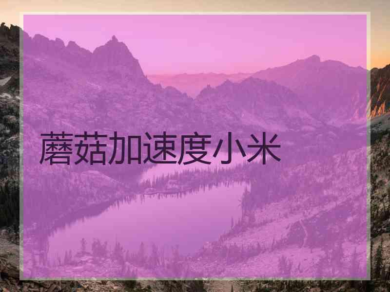 蘑菇加速度小米
