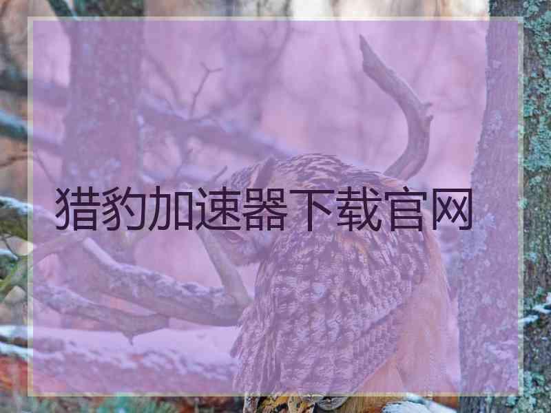 猎豹加速器下载官网