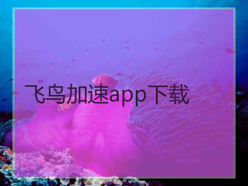 飞鸟加速app下载