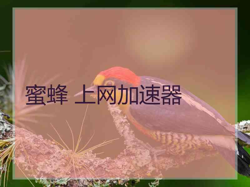 蜜蜂 上网加速器
