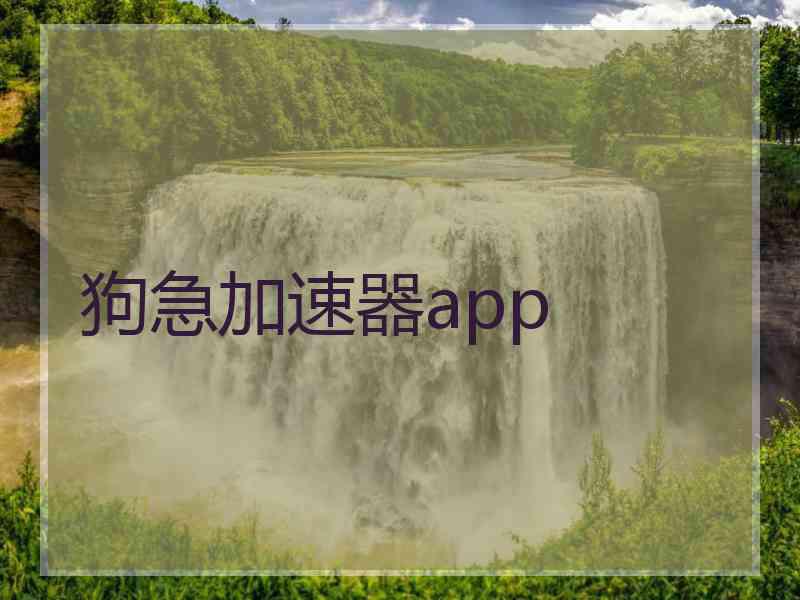 狗急加速器app