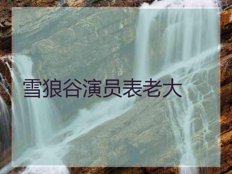 雪狼谷演员表老大