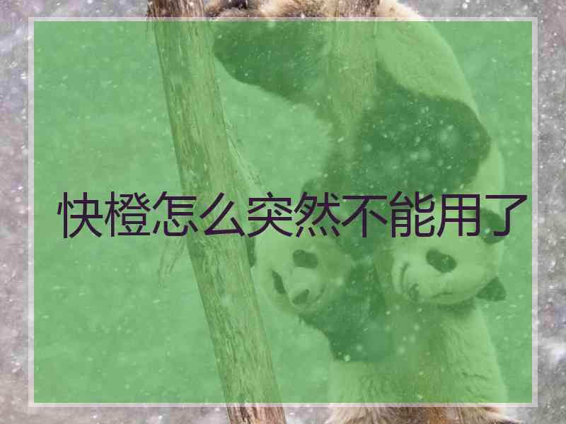 快橙怎么突然不能用了