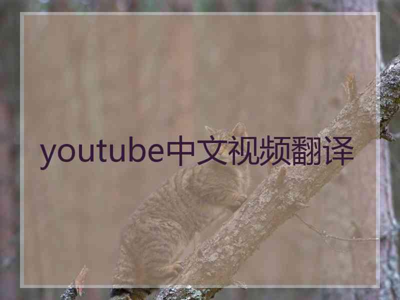 youtube中文视频翻译