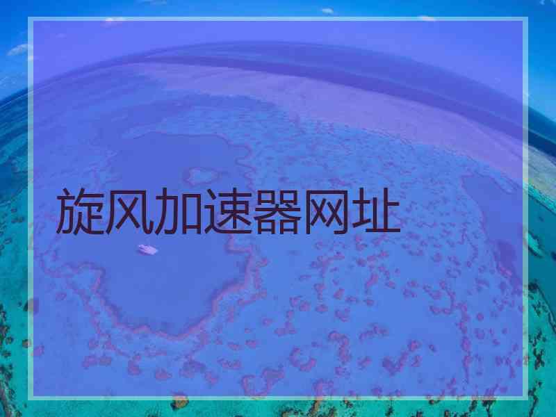 旋风加速器网址