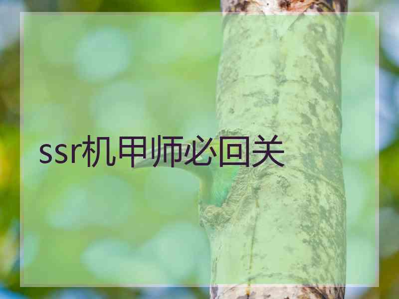 ssr机甲师必回关