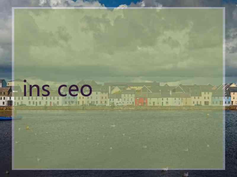 ins ceo