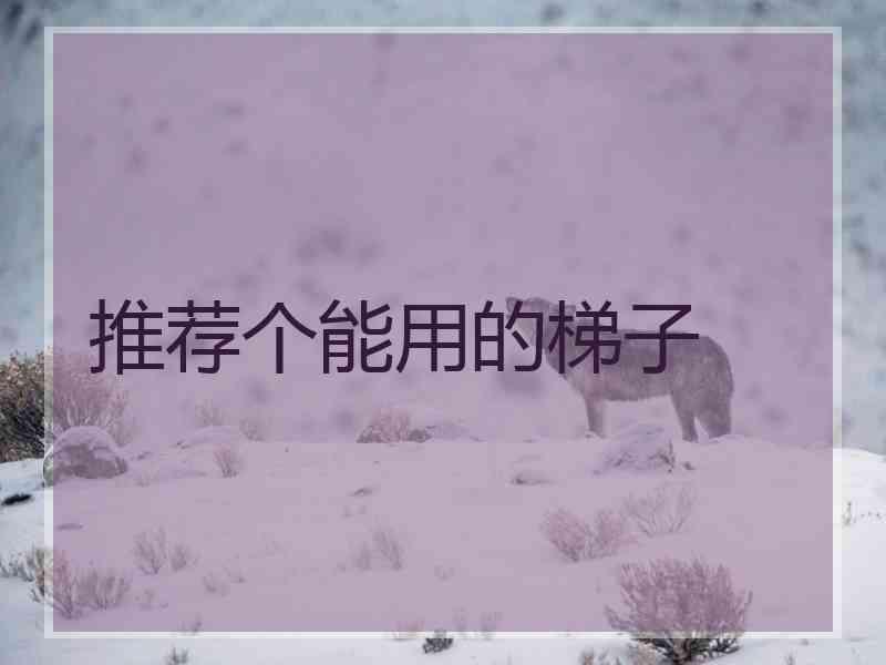 推荐个能用的梯子