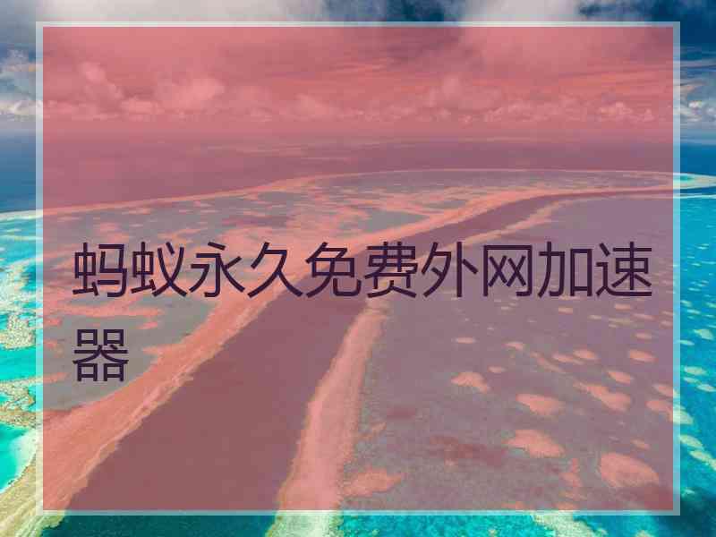 蚂蚁永久免费外网加速器