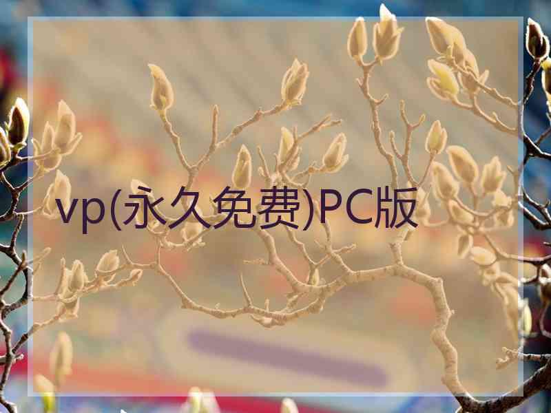 vp(永久免费)PC版